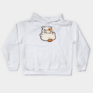 Eye of the Tiger Kids Hoodie